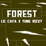 Forest (Explicit)