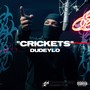 Crickets (Explicit)