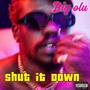 Shut it Down (Explicit)