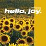 hello, joy. (feat. Nelohim & Kaelin Ellis)