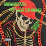 Rockstar (Remix) [Explicit]