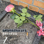 Полдень (Explicit)