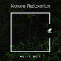 Nature Relaxation Music Box: 2019 Blissful Relaxing Sounds of Rain and Other Kinds of Water, Wind, Forest and Birds, Best Compiltation for Total Chill Out, Rest, Relax and Calm Down