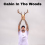 Cabin in the Woods