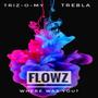 Flowz Freestyle (Where Was You?) (feat. TREBLA) [Explicit]