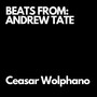 Beats From: Andrew Tate