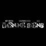 warning signs (feat. SerotoninChaser & b:so) [Explicit]