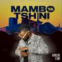 Mambo Ya Tshini (Explicit)