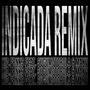 Indicada (feat. Sugumotorola & maxv!) [Remix]