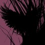 WEAKNESS (Explicit)