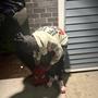 Back from hell (Explicit)