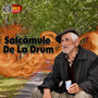 Salcâmule De La Drum