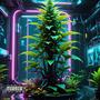 Hit It 420 (feat. Enlil Rules) [Explicit]
