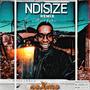 NDISIZE (Amapiano Remix)