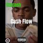 Ca$h Flow (Explicit)