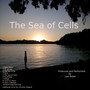 The Sea of Cells