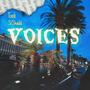 Voices (feat. SfShadd) [Explicit]