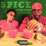 Spice (feat. Fryyco) [Explicit]