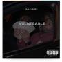 Vulnerable (Explicit)