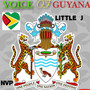 VOICE OF GUYANA