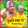 Bujbi Maza Ta Purulia Song