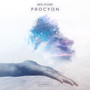 Procyon