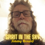 Spirit in the Sky