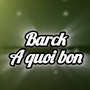 A quoi bon