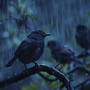 Yoga Peace with Binaural Nature Birds and Rain