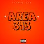 Area 313