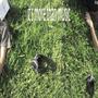 it's more than music (Explicit)