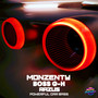 Powerful Car Bass