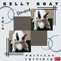 BILLY GOAT SOCA Remixed