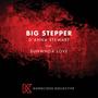 Big Stepper (feat. SuNWhoa Love)