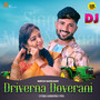 Driver na Doverani (DJ Remix)