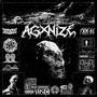 AGXNIZE (Explicit)