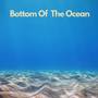 Bottom Of The Ocean