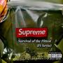 Survival of the Fittest (feat. Sevio) [Explicit]