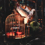 BIRD (Explicit)