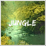 Jungle