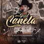 Piel Canela (En Vivo)