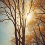 Morning Sun