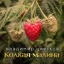 Колкая малина