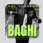 Baghi (Explicit)