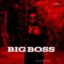 BIG BOSS (HIP HOP BEAT) (SEEDHA DILSE)