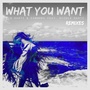 What You Want (Remixes)