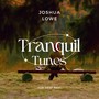 Tranquil Tunes for Deep Rest