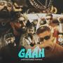 GAAH (feat. Aqeel Sarfraz) [Explicit]