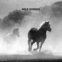 Wild Horses