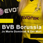 B V B Borussia